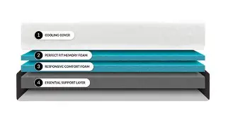 Head-to-Head: Cocoon By Sealy Chill vs Siena Signature Memory Foam Mattress (Detailed Comparison)